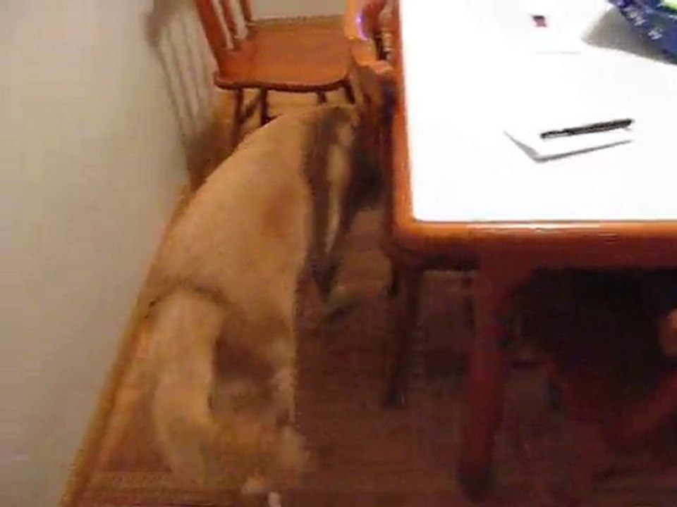 Sigmund