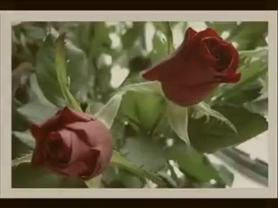Bayrami Bayram Ola Sedat Ucan (www.hikayearsivi.net)