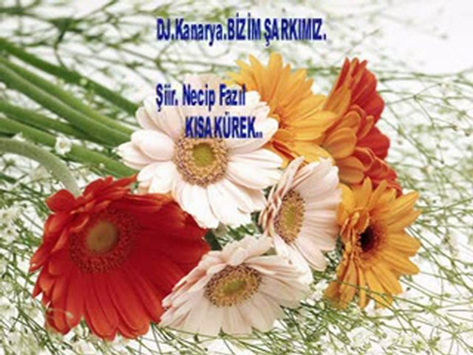 DJ.Kanarya..ŞARKIMIZ BİZİM.