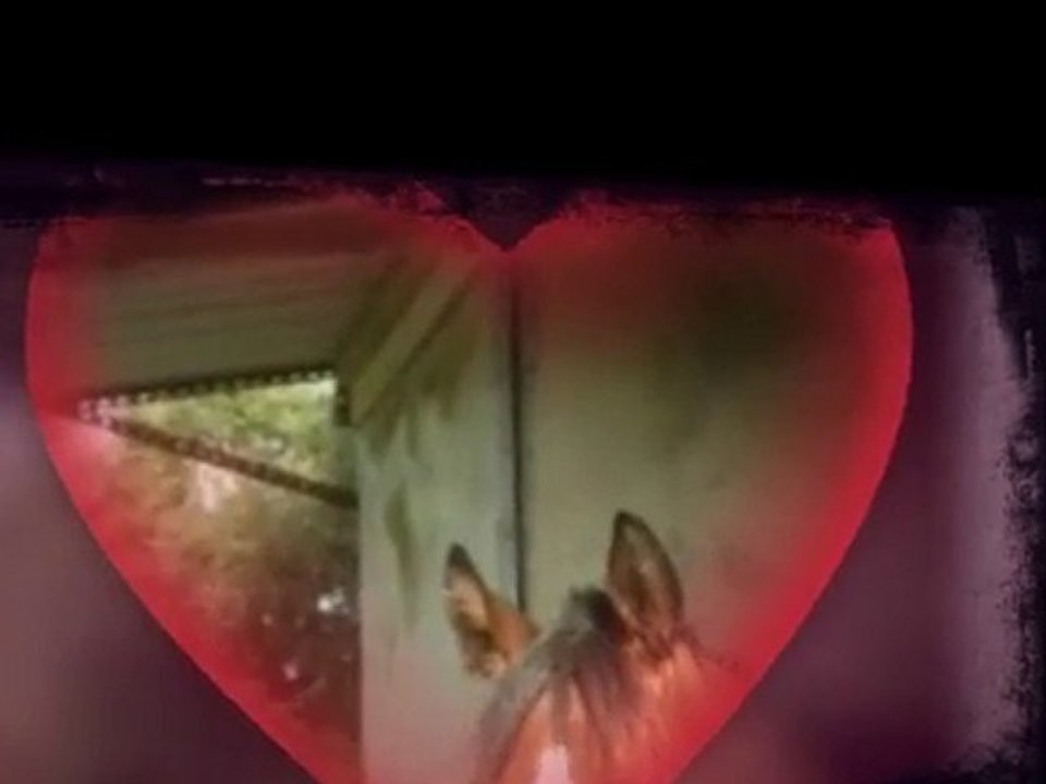 cheval