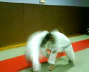 ippon kumité