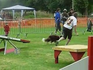 0710_wittes_gpf_algy