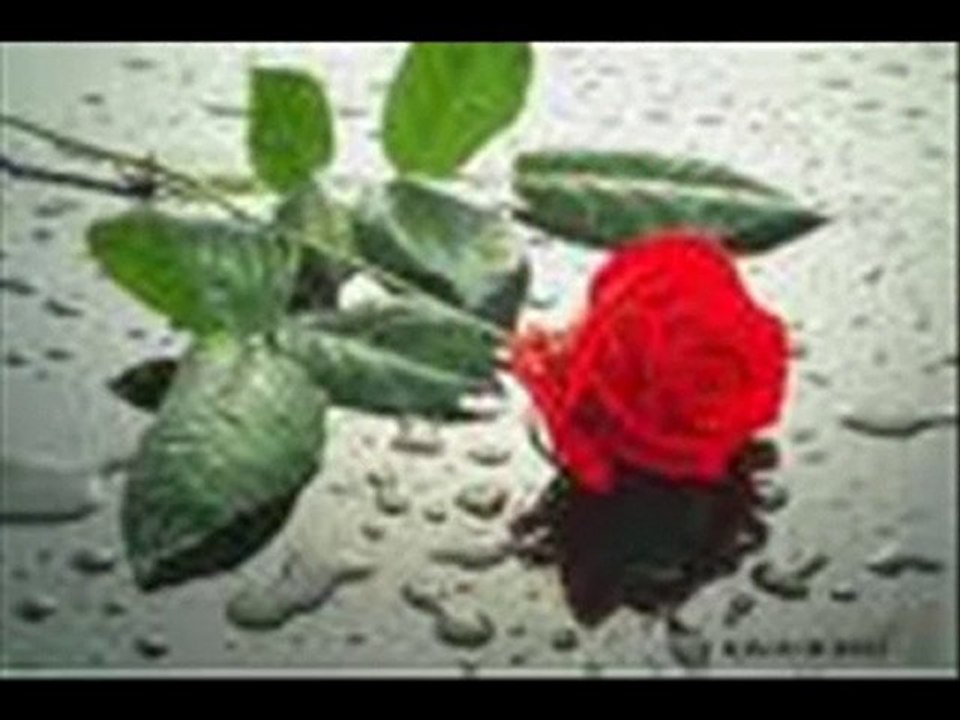 DİL YANSIN 63