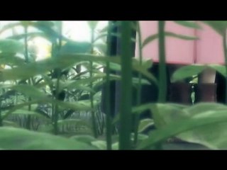 Advent Children Anime Music Video - Im Not Alright