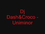 Dj Dash&Croco- Uniminor