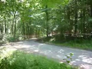 rallye de la plaine 2010