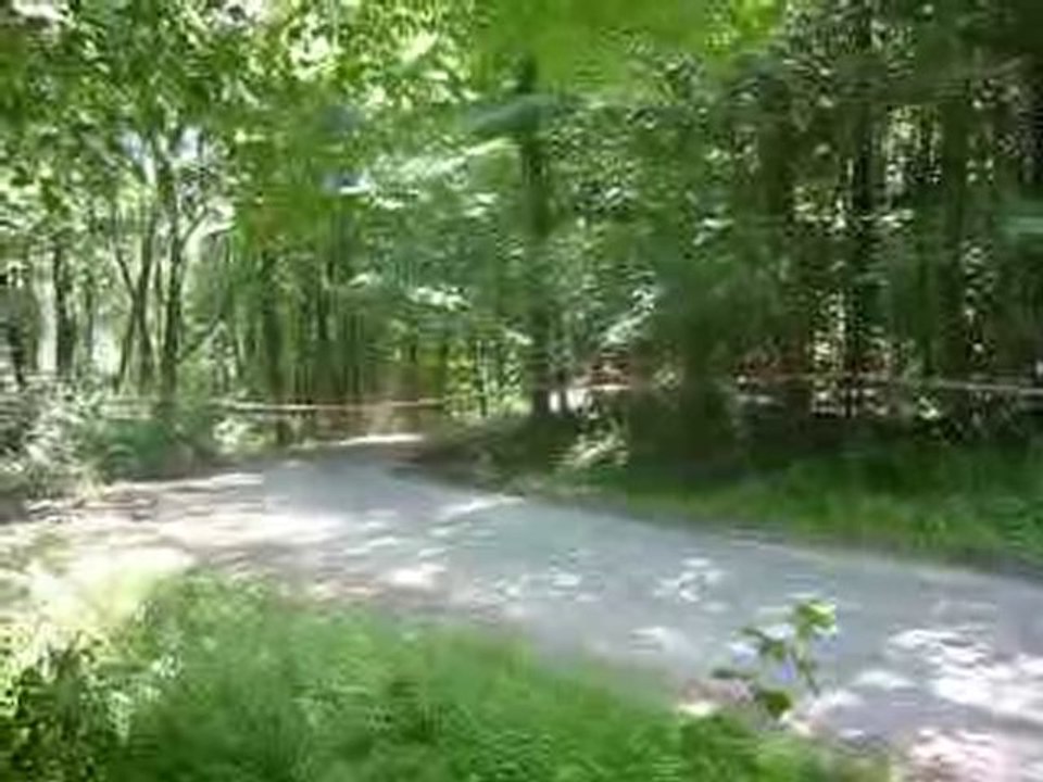 rallye de la plaine 2010