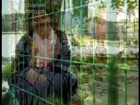 Ergun Baylav Eğitim Uygulama Okulu ve İş Eğitim Merkezi