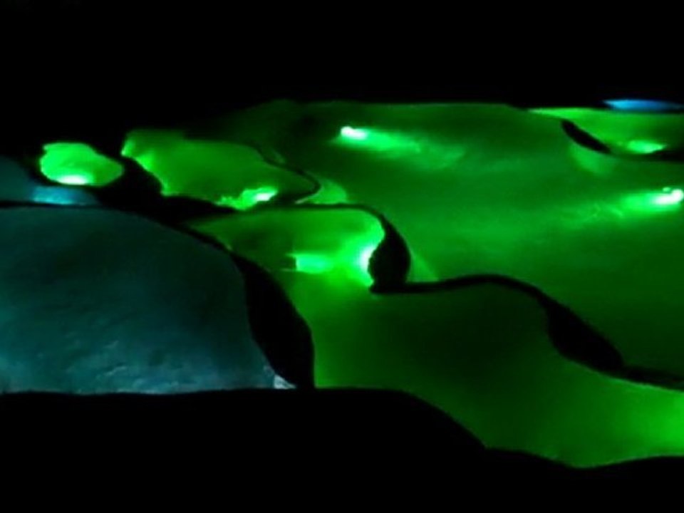 Les grottes de Saint Marcel d'Ardèche