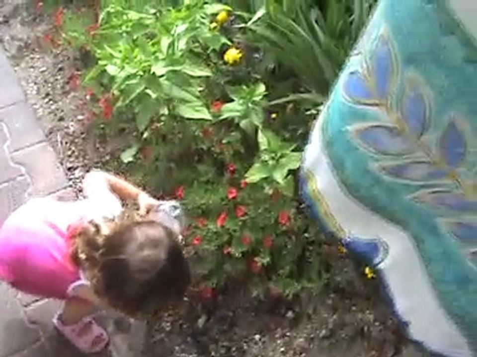 Arrosage des fleurs !