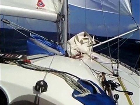 mini 650 n°402 qualif 5