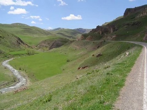 erdal erzincan & tolga sag sazimdaki tel aglar