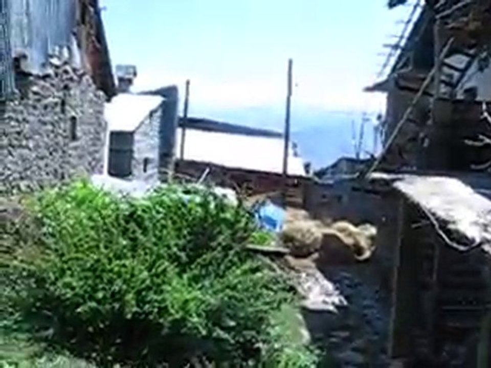 2010 08 04 Köy Sokaklarından