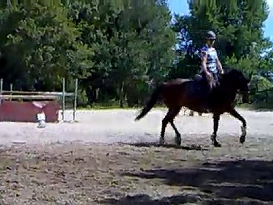 Chez José,dernier jour