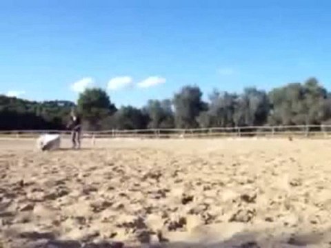 equi-x-magasine apprendre coucher et genoux