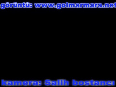 32. gölmarmara kavun ve karpuz festivali