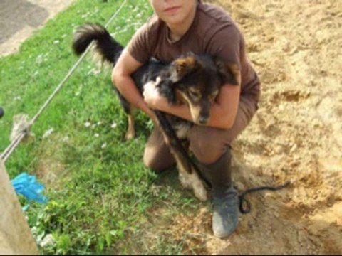 arrivée Fa Loulou sait jouer !