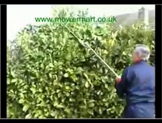 How to use a long reach pole hedge trimmer safely