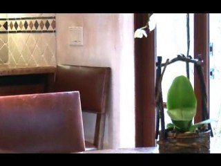 East Bay Homes presents 27 King Avenue in Piedmont CA.