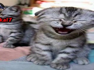 Loquendo - Mitos del Anime - Parte 1