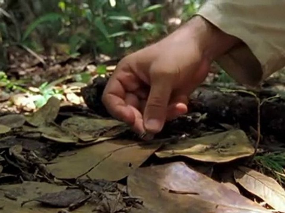 Cuba, perle des Caraïbes parti 3