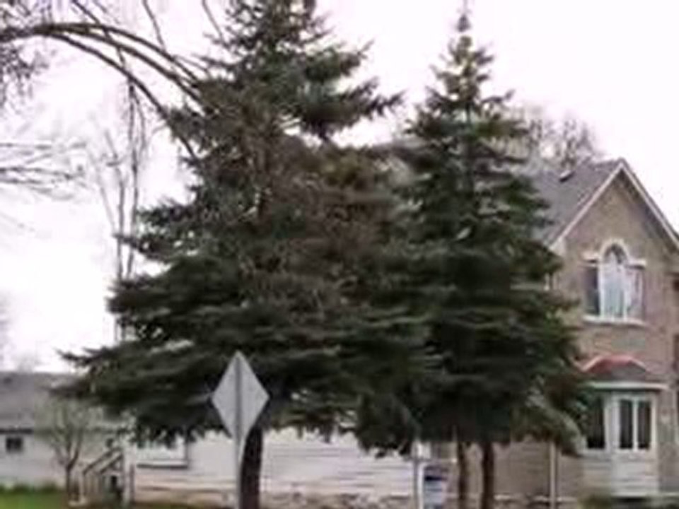 Homes for Sale - 940 N Loomis St - Naperville, IL 60563 - Co