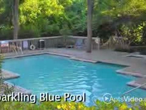 High Oaks Apartments in Austin, TX - ForRent.com