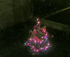 Nadal, Navidad, Noël.