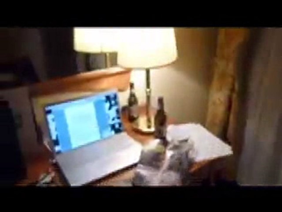 Melvil Poupaud  à Locarno