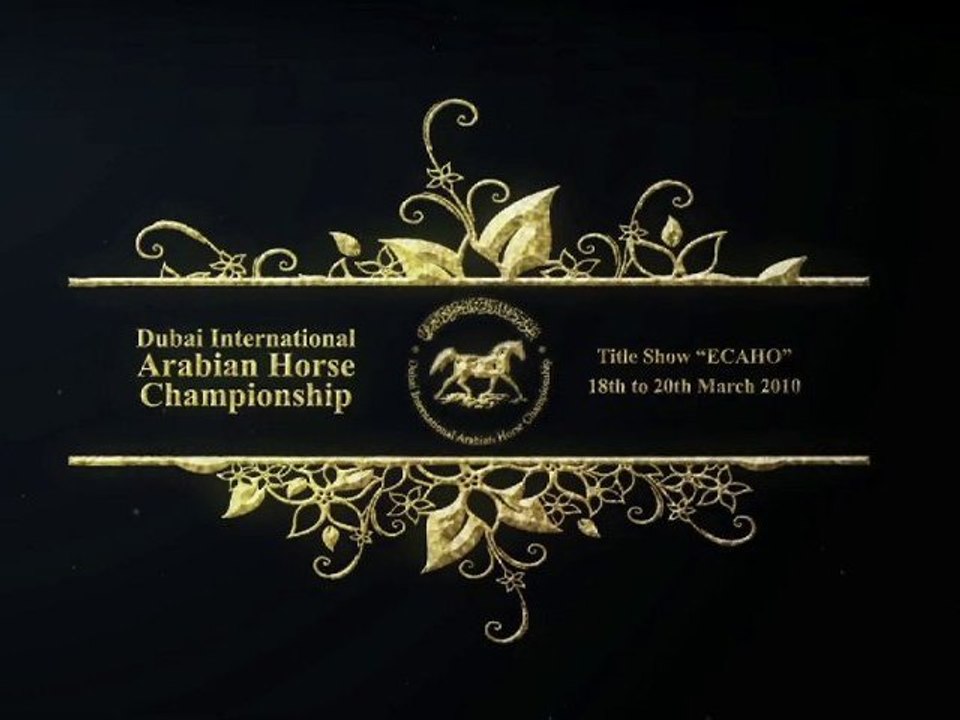 Dubai Arabian Horse Championship 2010