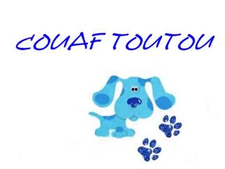 SALON DE TOILETTAGE VIGNEUX SUR SEINE,COUAF TOUTOU