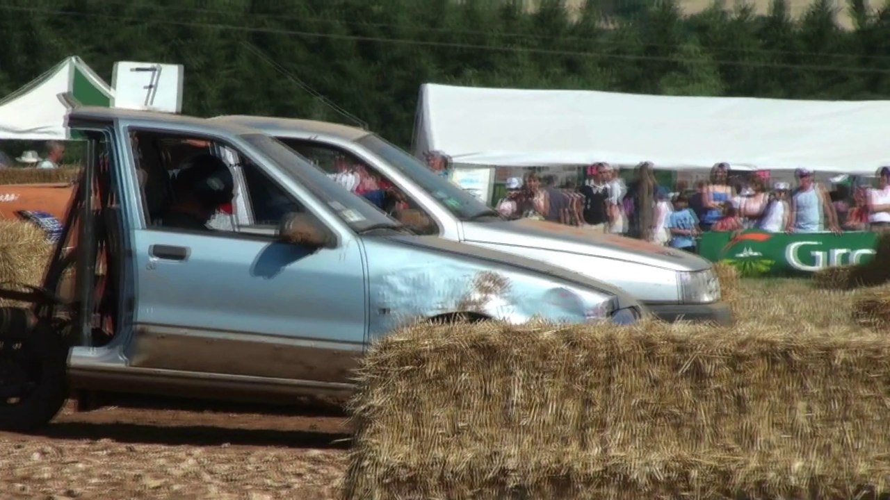 Fête de la terre à Montamisé 2