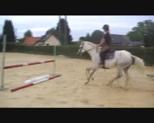 Servane