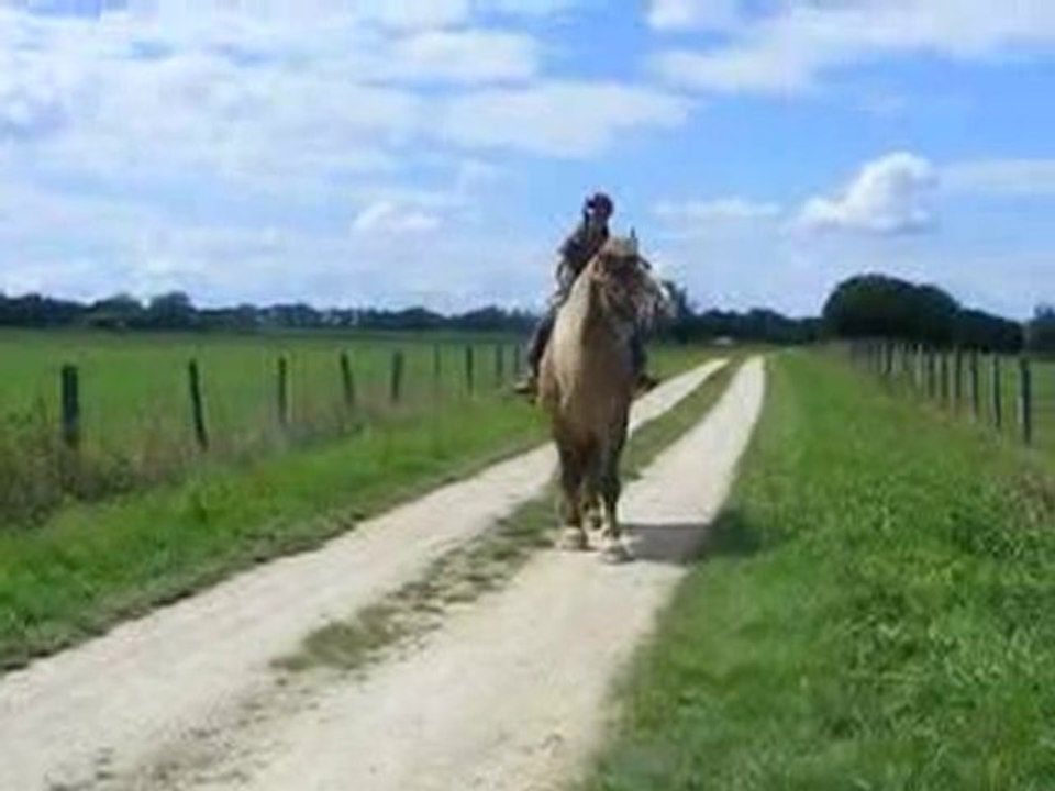 Balade d'Océ et Sapri' - aout2010