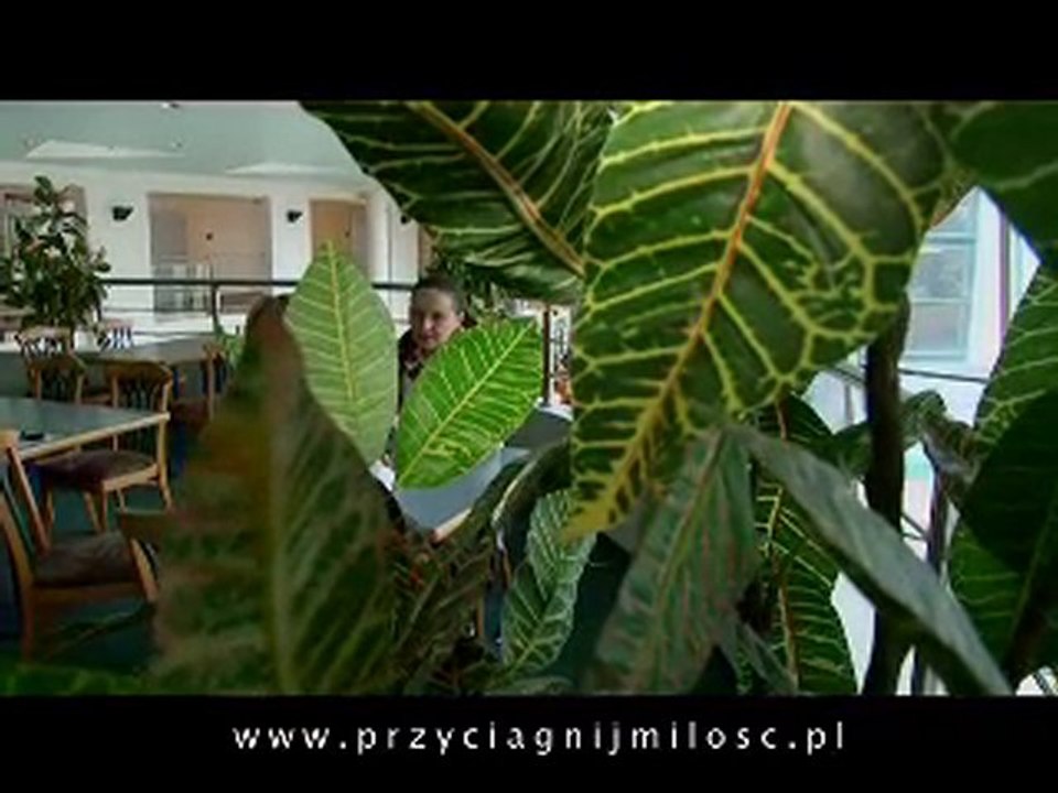 Książka Miłość, wszystko o Miłości