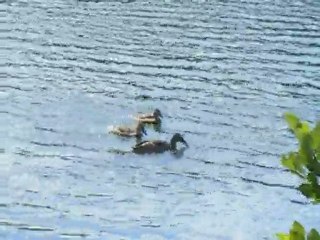 Lac de la Cassière.