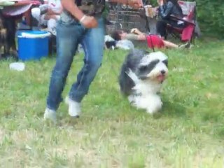 aramis ventabren 2010