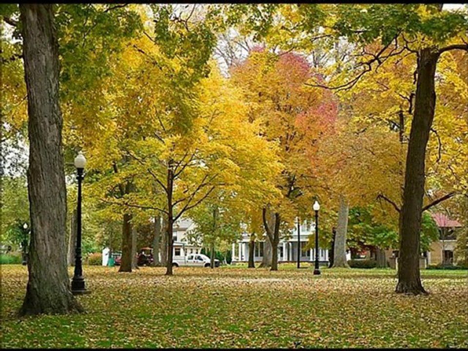 İsyan ederim / Bülent Ersoy