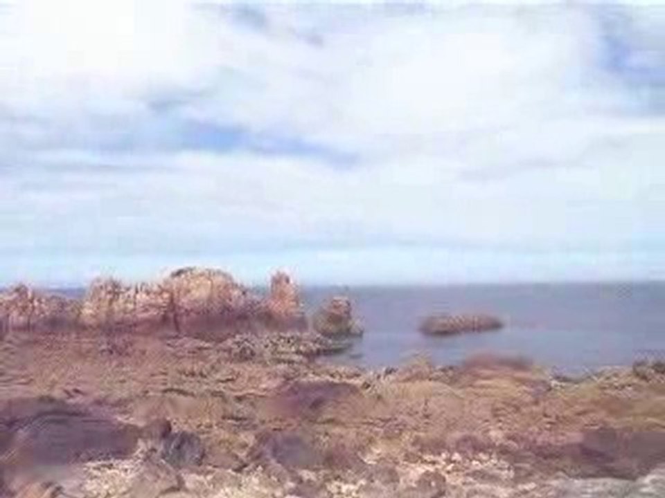 POINTE SAUVAGE