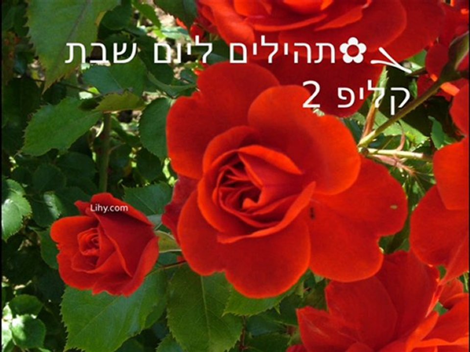 ܓ✿תהילים ליום 7 שבת, קליפ 2/4