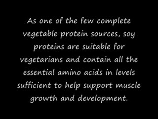 Optimum Nutrition 100% Soy Protein