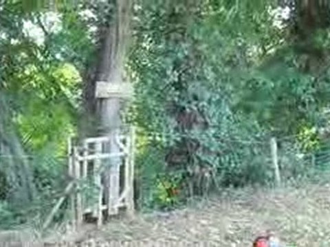 Tir de precision football