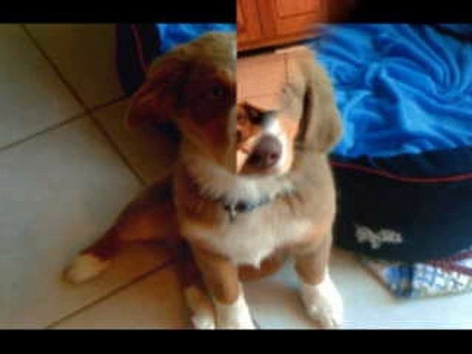 Eidy 1 an