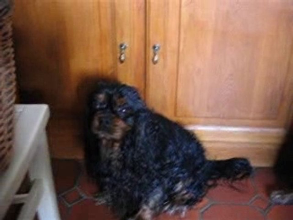 Photo 007