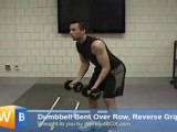 Bent Rows Exercise