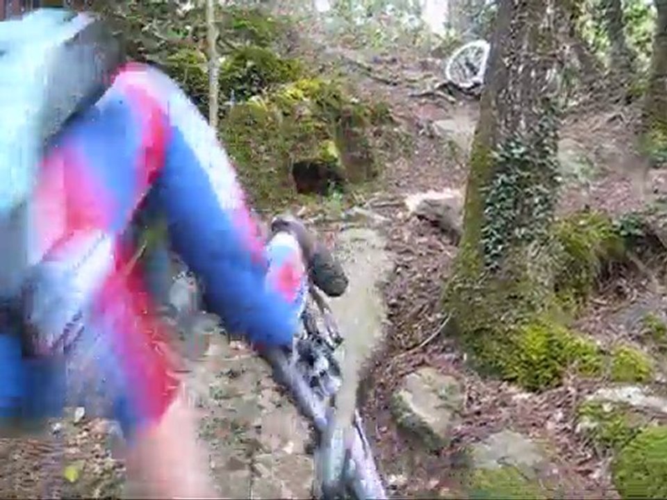 RANDO TRAINARDS 2010 VD