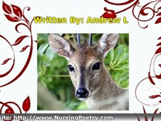 Nursing Poetry, The Nurse Who Heals