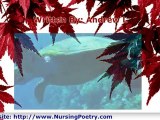 Nursing Poetry: The Nurse Who Befriends