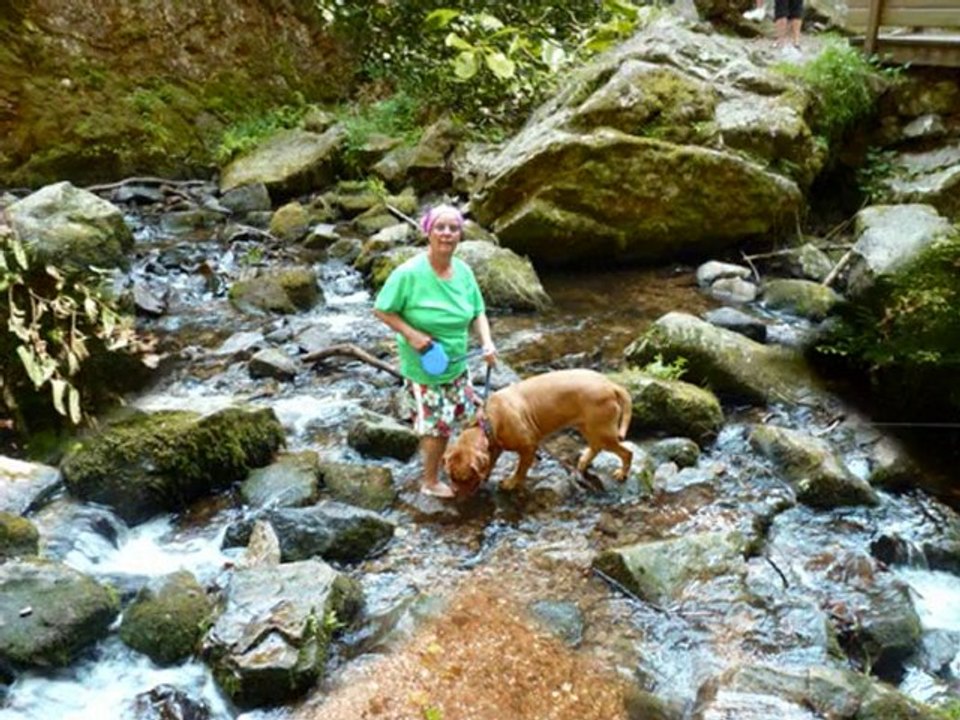 suite  des vacances a gerardmer