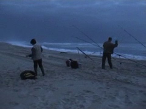 l'attaque des hannetons morts vivants